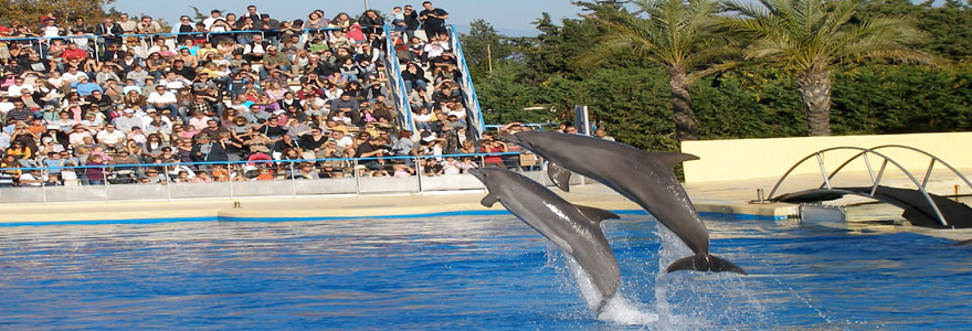 Parc Marineland