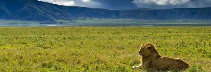 Ngorongoro